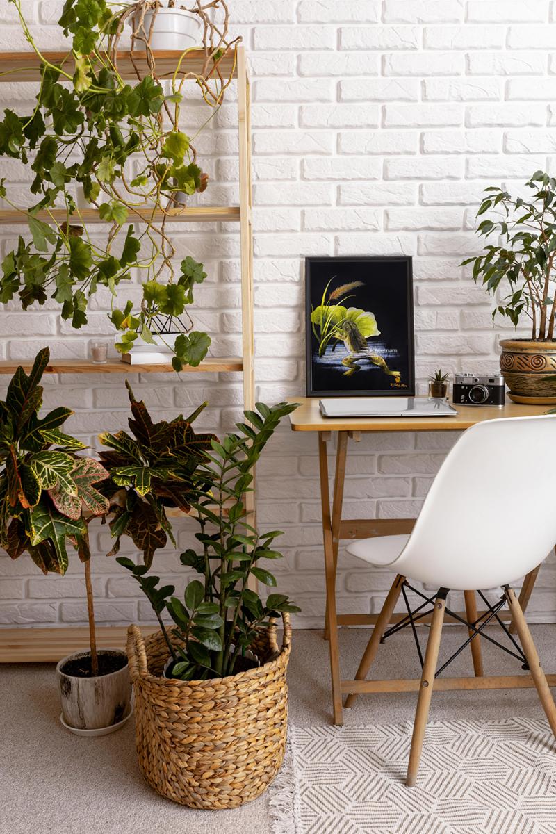 upload/images/interior-design-wooden-furniture-green-plants s.jpg